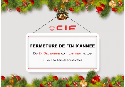 JOYEUX NOËL ET BONNE ANNÉE 2025