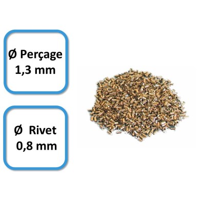 bte 100 rivets Ø 0,8 mm,...